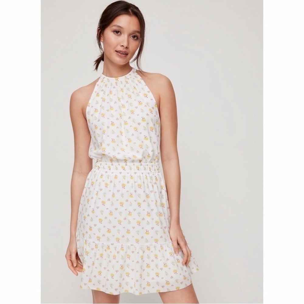 Wilfred Aritzia Effet Floral Mini Dress